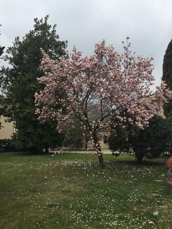 Agriturismo Villa Panigai Farra di Soligo Екстериор снимка